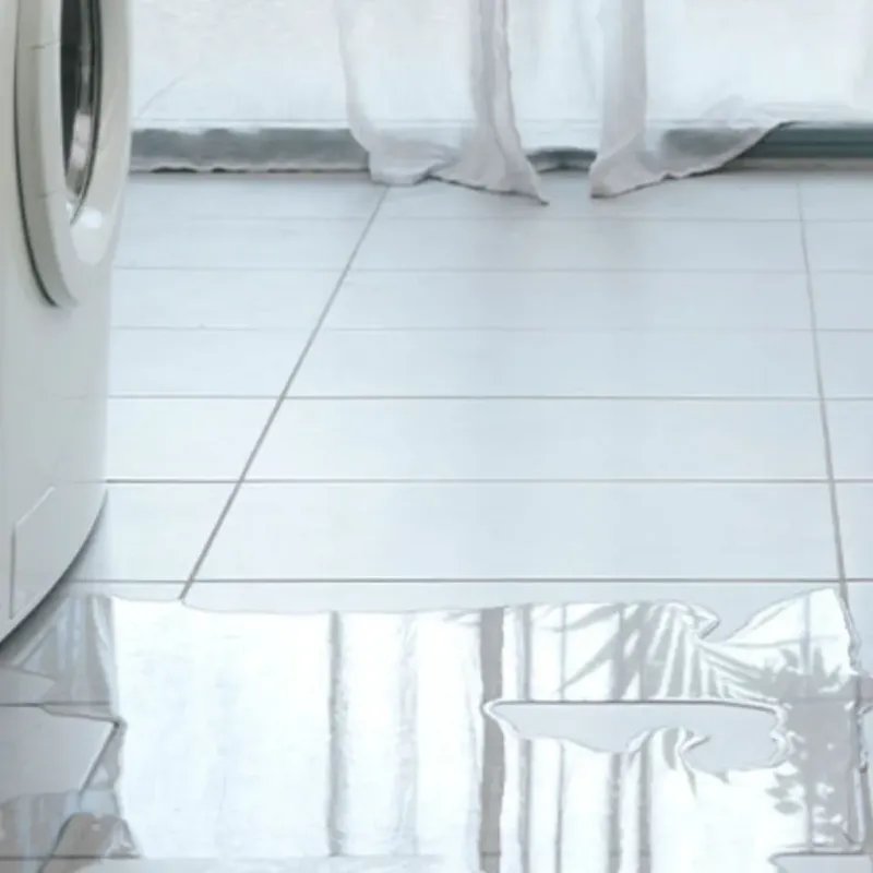Appliance Leak Cleanup in Mercer County, KY