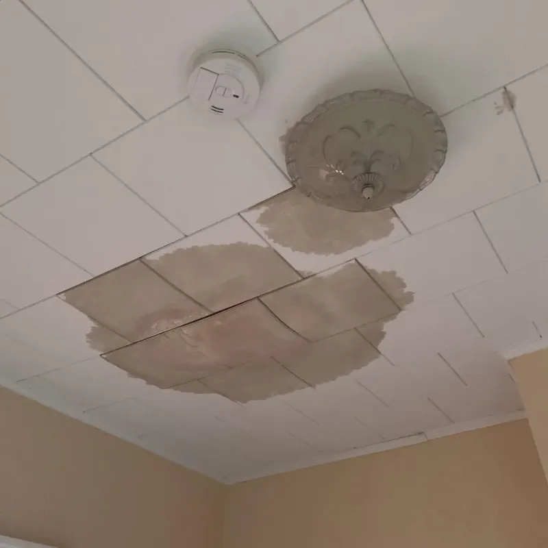 Ceiling Water Damage Repair in Mercer County, KY
