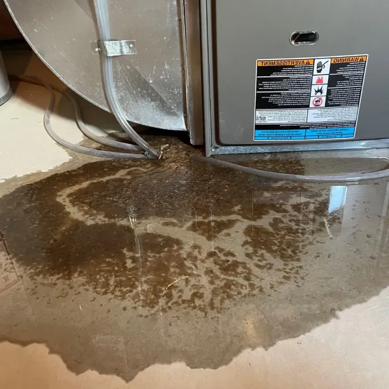 Pipe Burst and Leak Restoration in Mercer County, KY