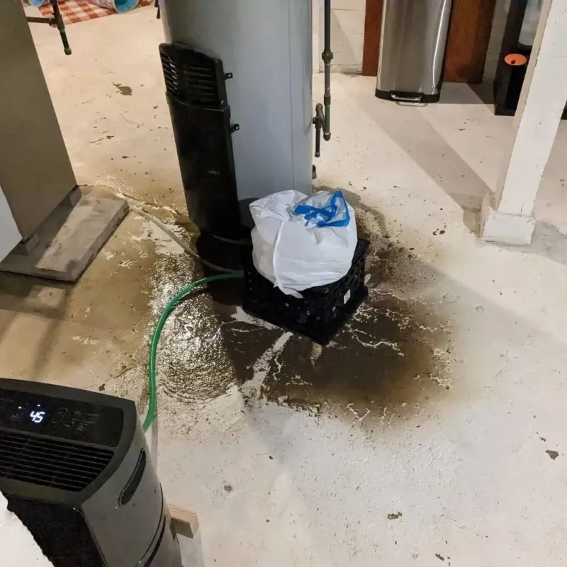 Sewage Backup Cleanup Service in Mercer County, KY